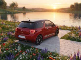 Citroen DS3 FAP 2011