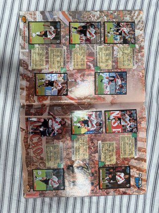 Álbum Fútbol Argentina 2001