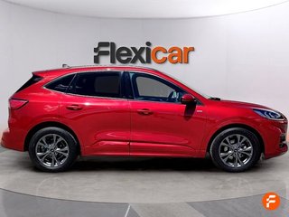 Ford Kuga ST-Line 1.5 EcoBlue 88kW (120CV)