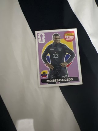 Sticker Moises Caicedo Extra Morado