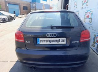 Porton tras audi 1153195 a3 (8p) 1.9 tdi ambiente