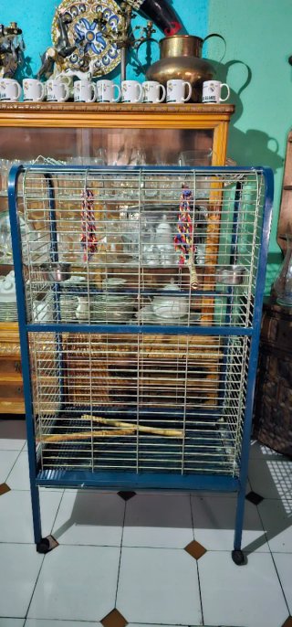 Jaula grande para loro azul