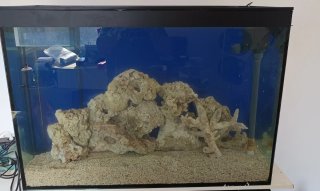 Roca Fiji para acuario marino