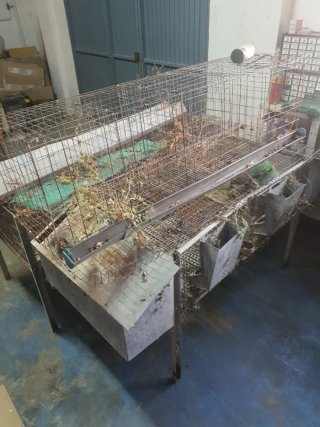 Conejeras metálicas
