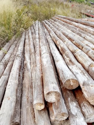 Postes de madera tratada de 5 metros