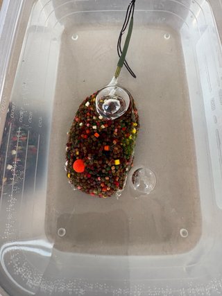 10 Bolsas Solubles Carpfishing