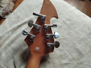 Guitarra Eléctrica Flying V Lyon by Washburn