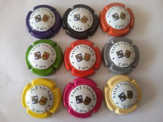 9 Bottiglie di Cava Saint Vignon