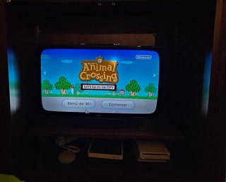 Animal Crossing per Wii