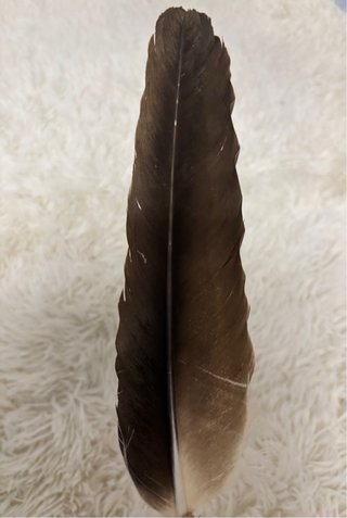 Pluma artesana para limpiezas energéticas