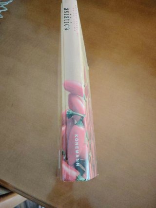 El Libro esencial de la cocina asiática