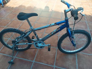 Bicicleta Di Terzo 20 Azul y Plata
