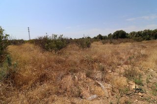 Terreno en venta en Centro en Alcanar
