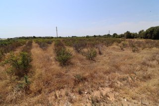 Terreno en venta en Centro en Alcanar