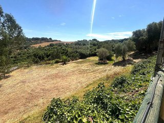 Terreno en venta en Barrios (Los)