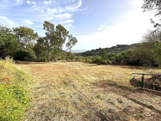Terreno en venta en Barrios (Los)