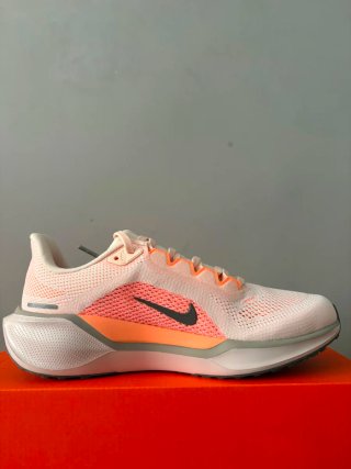 Nike Air Zoom Pegasus 41 Talla 41