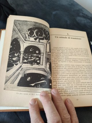 Contatto cosmico