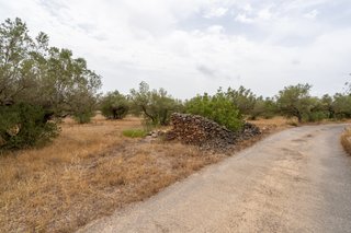 Finca llana con agua de riego