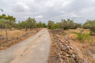 Finca llana con agua de riego
