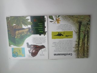 Dinosaurios gigantes