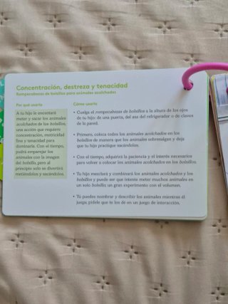 Kit Juguetes Lovevery 19-21 Meses