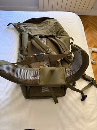 Mochila Tasmanian Tiger Sentinel 40L Verde Oliva