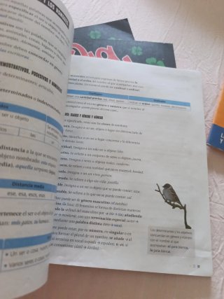 Lengua Castellana y Literatura 4, Segundo Ciclo...