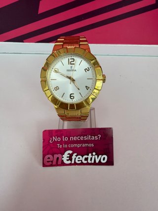 Reloj Pulsera Caballero Festina F16713
