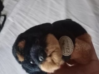 Peluche perro Classic
