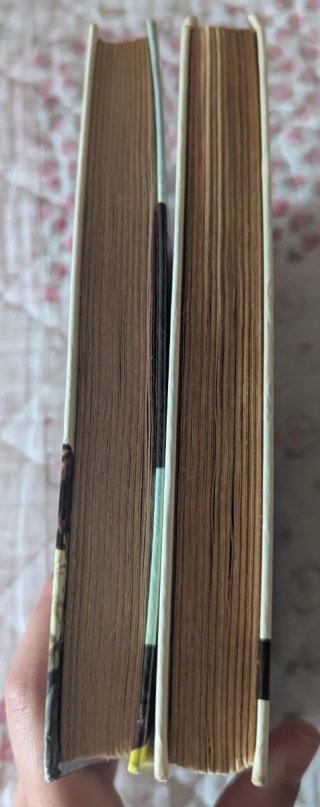 Dos libros de Enid Blyton