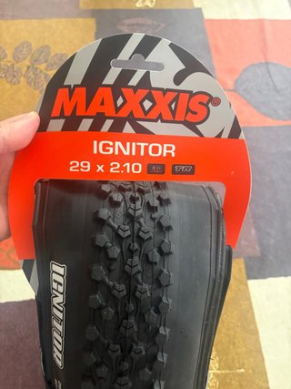 Maxxis Ignitor 29x2.10 EXO TR - Nueva