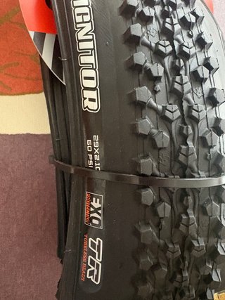 Maxxis Ignitor 29x2.10 EXO TR - Nueva