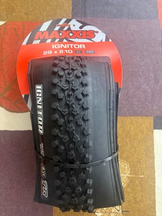 Maxxis Ignitor 29x2.10 EXO TR - Nueva