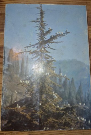 Avifauna benacense - Duse, Antonio; Cambi, Davide