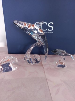 Set di due figure di cristallo Swarovski Ballena Paikea e Ballena Piccola SCS