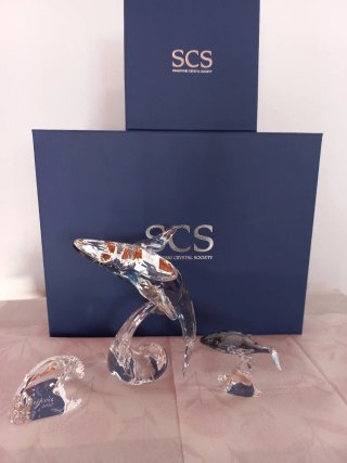Set di due figure di cristallo Swarovski Ballena Paikea e Ballena Piccola SCS