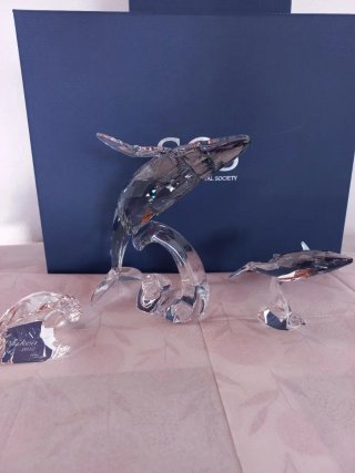 Set di due figure di cristallo Swarovski Ballena Paikea e Ballena Piccola SCS