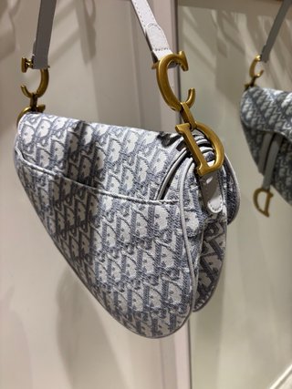 Bolso Dior Saddle Gris y Dorado
