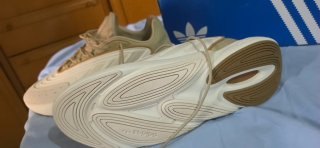 Adidas Ozelia Talla 46 2/3 Beige/Blanco
