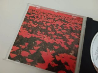 CD Riccardo Cocciante - Il mare dei papaveri