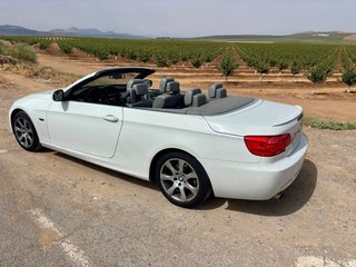 BMW Serie 3 2010