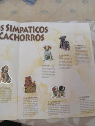 Album Bollycao Tu mejor amigo II