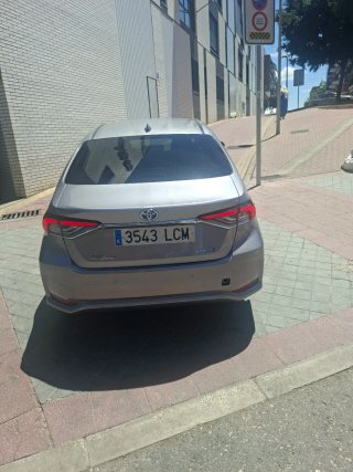 Toyota Corolla 2019