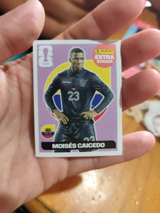 Cromo Extra Sticker Moisés Caicedo Panini