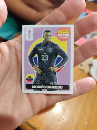 Cromo Extra Sticker Moisés Caicedo Panini