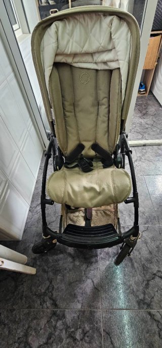 Carricoche Bugaboo