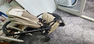Carricoche Bugaboo