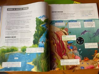 Ciencias de la Naturaleza 3 segundo ciclo primaria