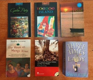 Lote de libros en inglés